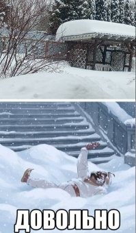 Европейская Сахара: как испанский город превратили в финиковый рай