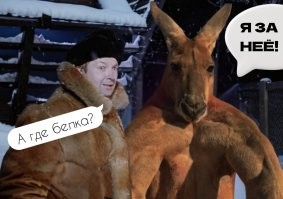 Просто гифки, всякие и&nbsp;разные