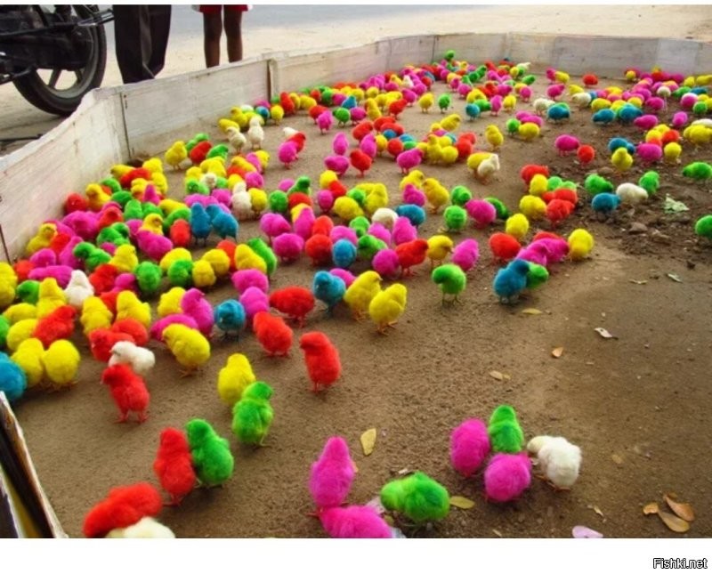 А вдруг ты не знал…