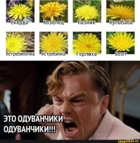30 кадров, которые заставят вас протереть глаза