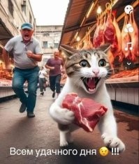 Рыжие пушистые воришки