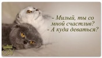 Смешные картинки