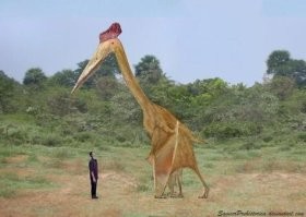 Смешные картинки