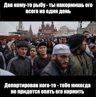 В правительстве поддержали идею о расширении оснований для выдворения мигрантов из России