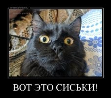 Во Вьетнаме мытьё головы превратили в полноценный спа-ритуал