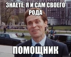 Йога с пушистым помощником