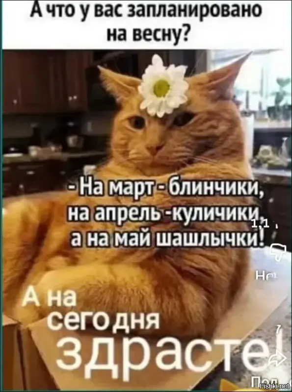 С добрым утром