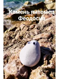 ))) это что - есть даже "камень - домашний питомец". И в продажах их много
...шиза