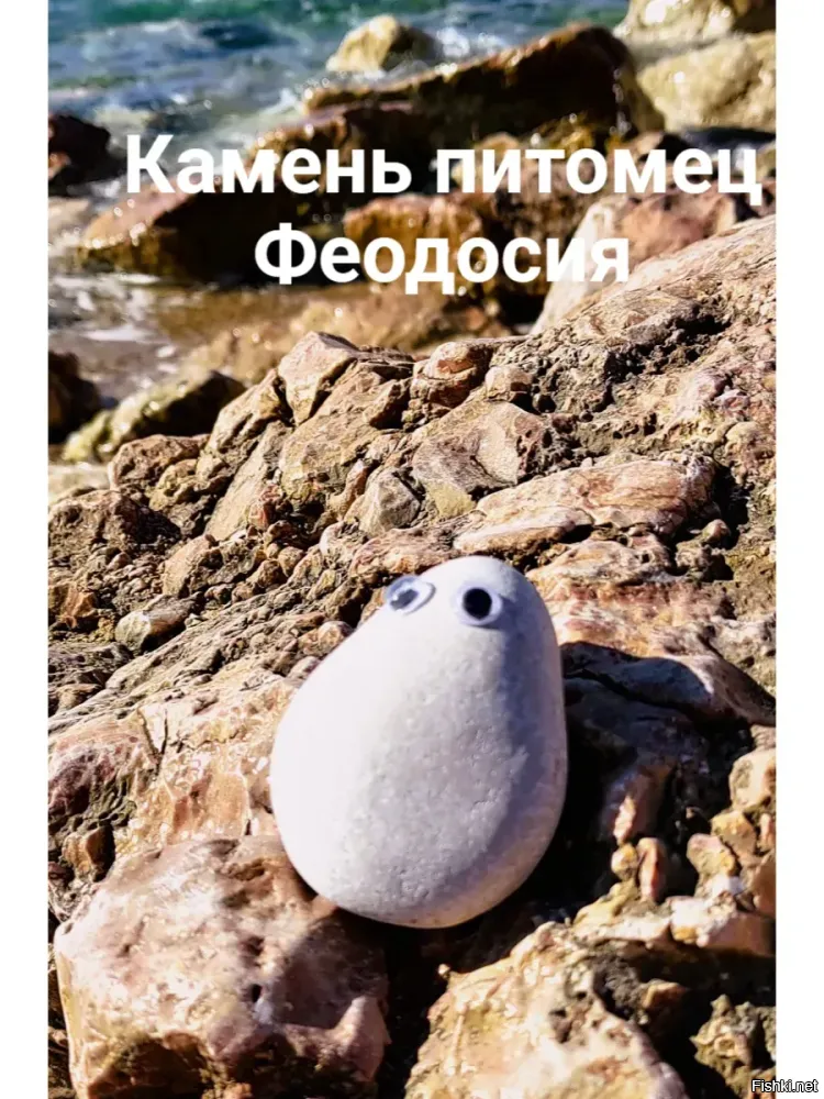 ))) это что - есть даже "камень - домашний питомец". И в продажах их много
...шиза