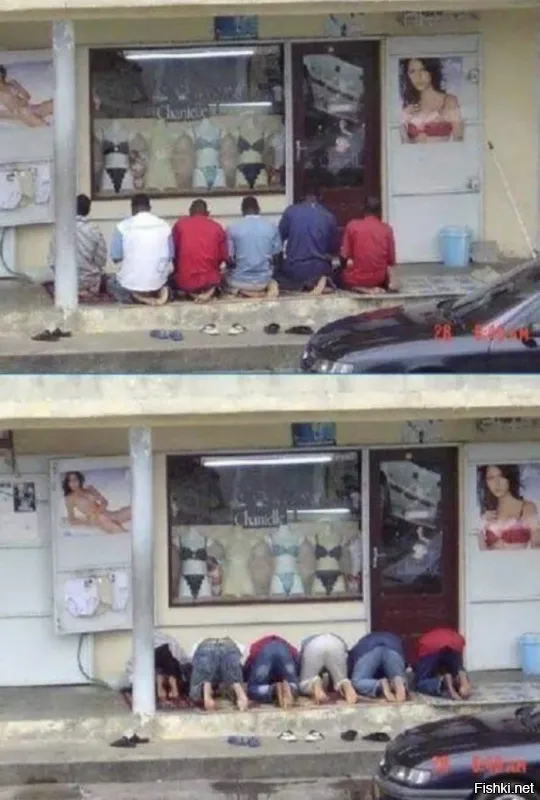 Чё там в башке мурфиков?... Кисель из мусульманских сур, животных инстинктов и претензии на исключительность. В их кишлаках за публичное намазывается этим уродам #изды со штрафом вставят, а в России они ещё и права качают!!