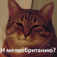 Политическая рубрика от&nbsp;NAZARETH за&nbsp;17.03.26. Новости, события, комментарии - 2039