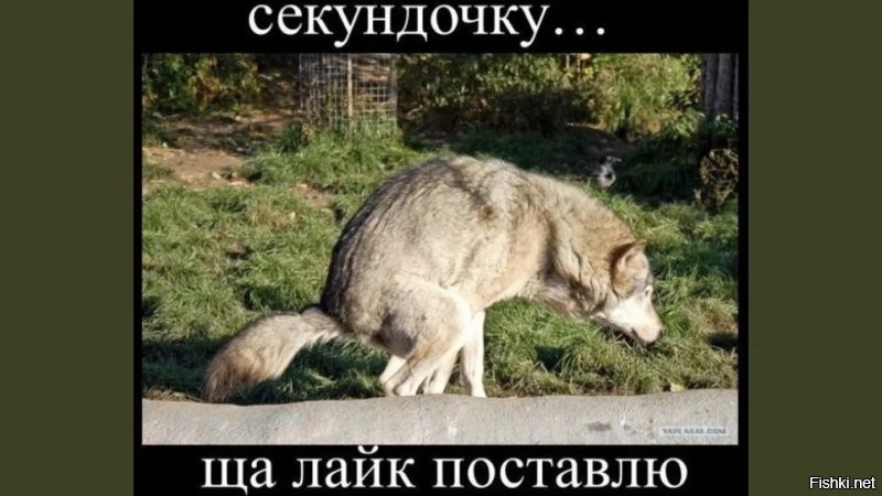 Высер не засчитан