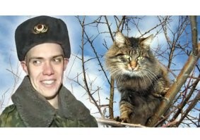 Симулятор спасения кошек