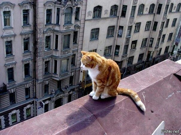 Доброго утра