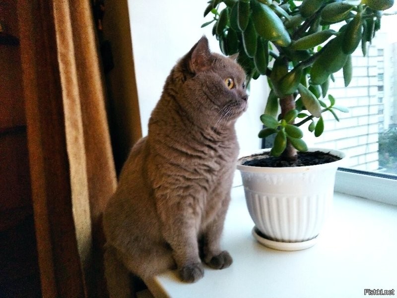 Они сами не понимают, чего они хочут ..

а я хочу, чтоб мой ребенок был со мной всегда