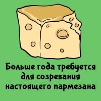 Шах и мат.