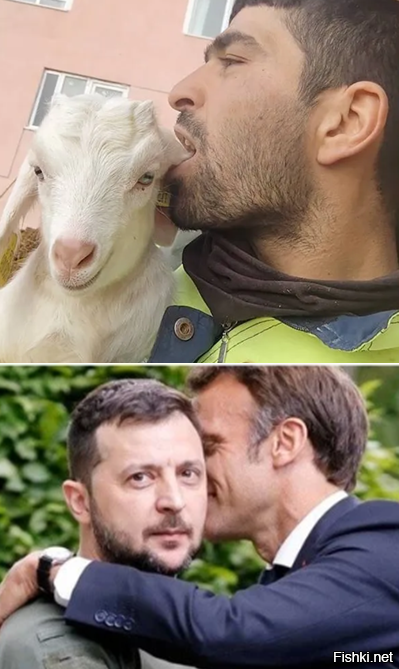 Мужчина в шутку «кусает» козу за ухо, но та реагирует криком