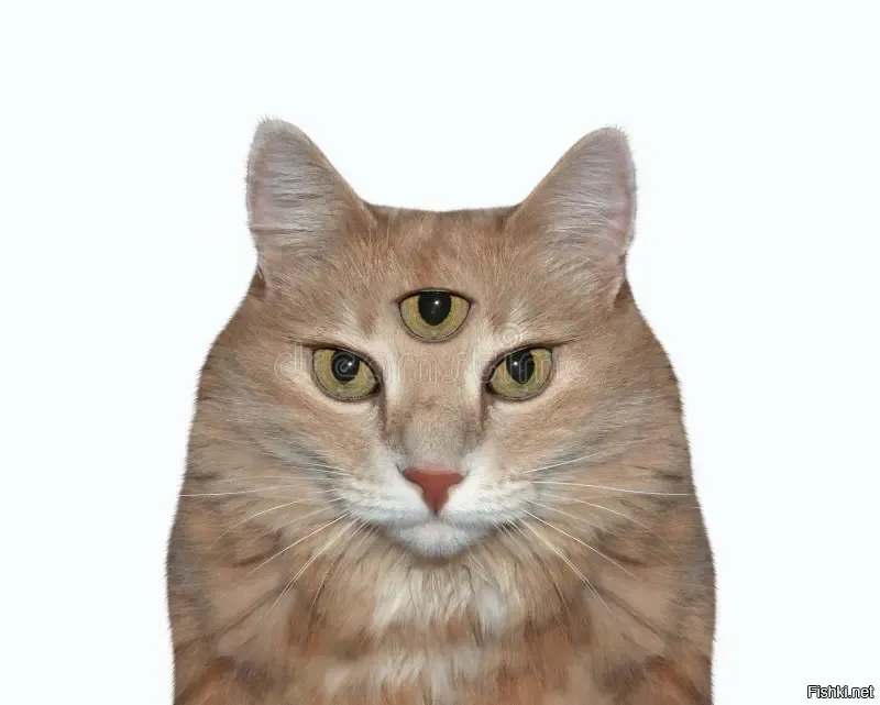 Солянка от 19.03.2026