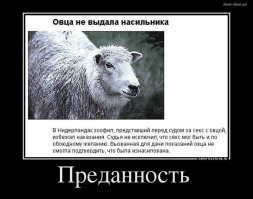 Мужчина в шутку «кусает» козу за ухо, но та реагирует криком