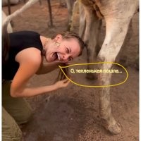 Путешественница отважилась вымыть голову коровьей мочой