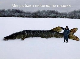 Знакомая история.