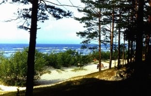 Ну ХЗ, но это фото вызвало вот такие воспоминания...