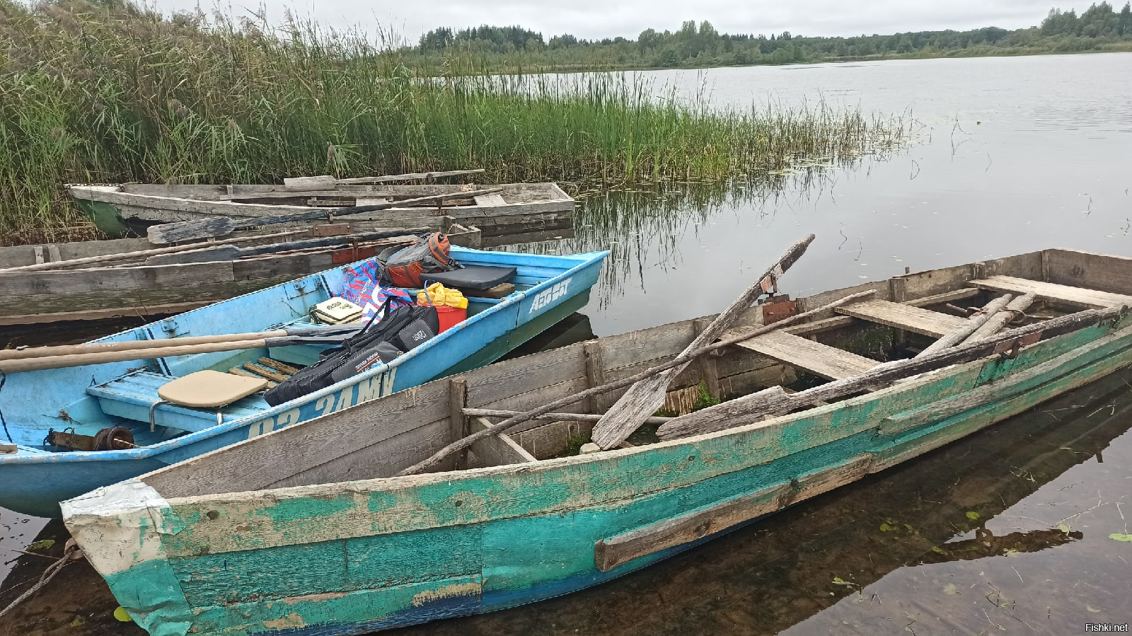 Так хочу на рыбалку (деревенскую, Тверская область), что ажно зубы сводит))