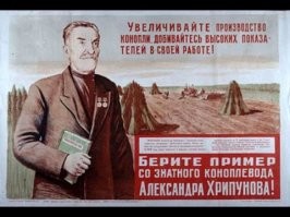 А чего такая мелкая?