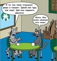 Кот желает выйти