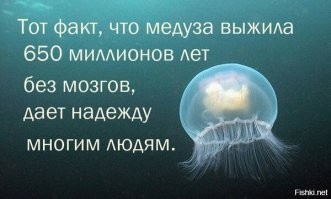 Истинная причина операции