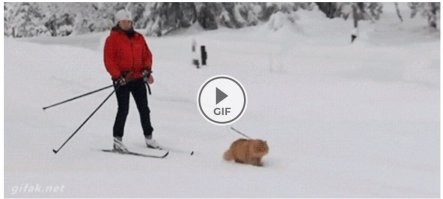 )