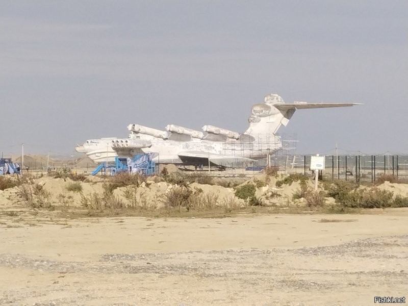 2024 год