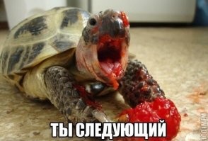 Намешалось