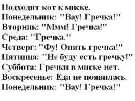 Парень приучил своего кота к сухому корму  с помощью маркетинга