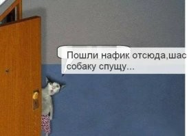 Намешалось