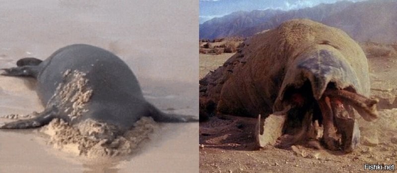 Просто гифки, всякие и&nbsp;разные