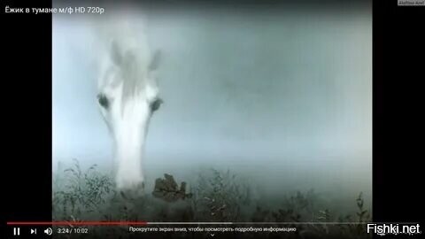 У нас тумана нет, но пасмурно. Обещают, что скоро небо откроется.
Да, возможно, лето будет... разное