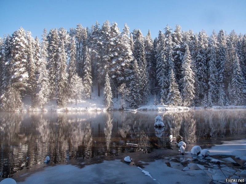 Прекрасного дня!