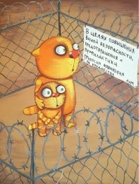 Запретить запрещенное: Минцифры хочет заблокировать то, что и так не работает без VPN