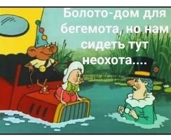Небольшая прогулка на болото