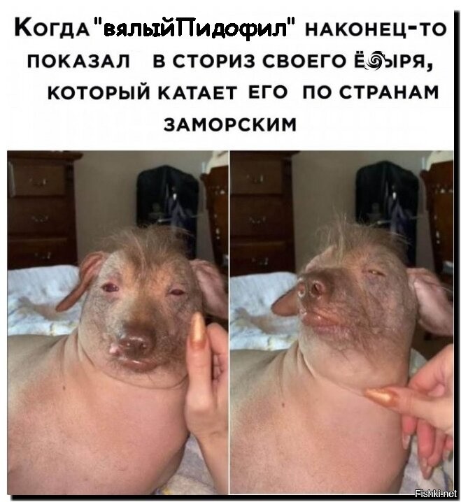 тебя ударить по морде скрином с твоим скулежом в Тп по поводу дизлайков на твоих сраных коментах ?
или по своей хохлячьей привычке опят возопищ - "пруфофнет!"