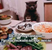 Нее... Мы лучше поживем...