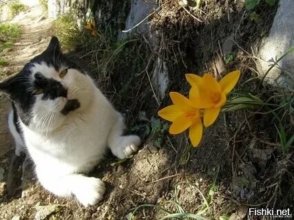 Солянка от 22.03.2026