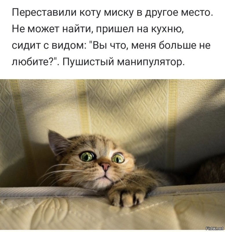 Солянка от 22.03.2026