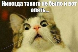 Сезон больших луж: столица Камчатки справляется с таянием огромных сугробов в жилых кварталах