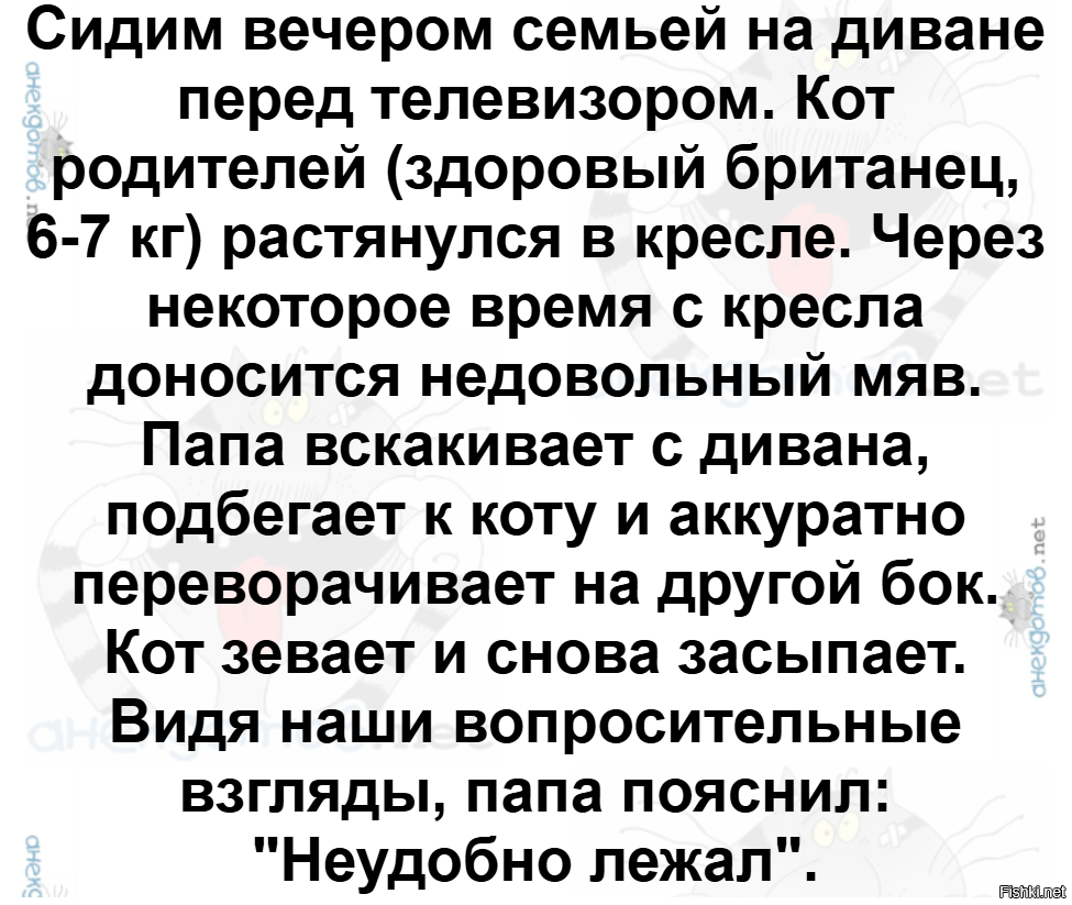 Срочно нужна помошь котику