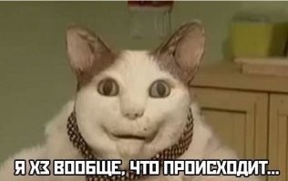 Пробежка обернулась паникой: мужчине пришлось спасаться бегством