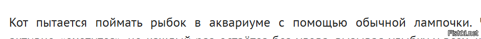 интересно, насколько низким должен быть уровень iq, чтобы написать такой бред в описании.....