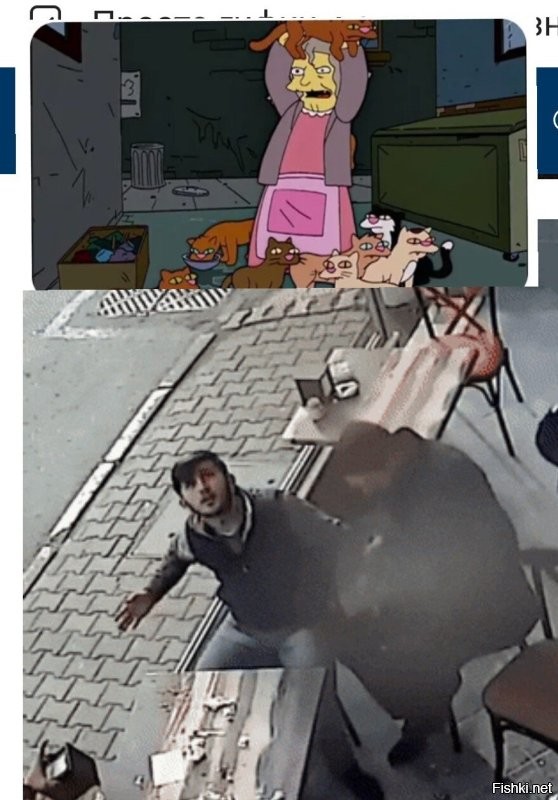 Просто гифки, всякие и&nbsp;разные