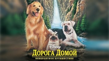 Ну, как бы...